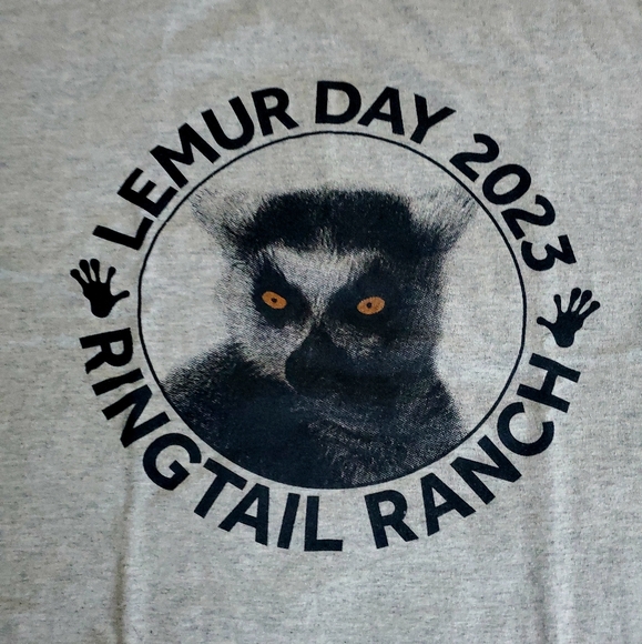 π Large Heather Gray World Lemur Day Crewneck Tee π - Picture 4 of 16